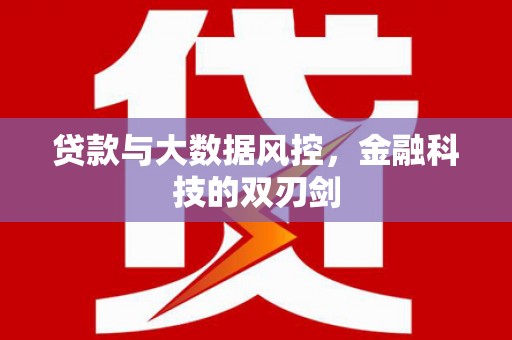 叶城贷款与大数据风控，金融科技的双刃剑