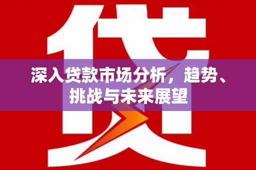 叶城深入贷款市场分析，趋势、挑战与未来展望