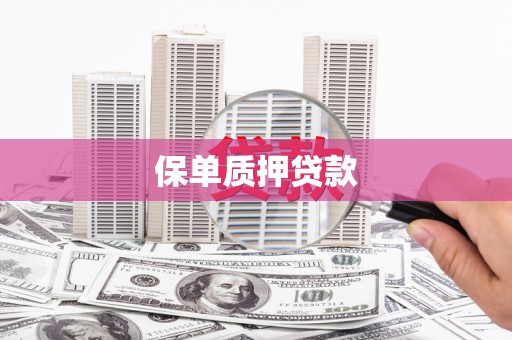 叶城保单质押贷款