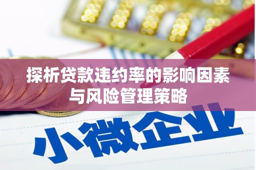 叶城探析贷款违约率的影响因素与风险管理策略