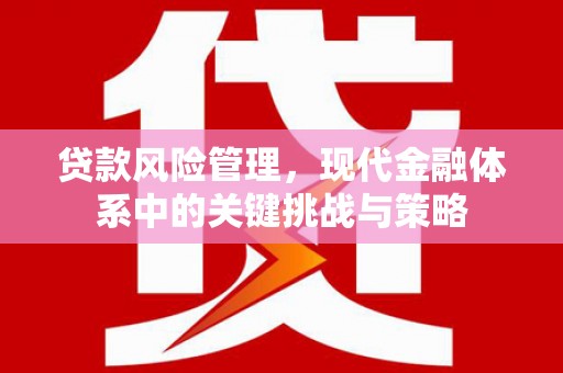 叶城贷款风险管理，现代金融体系中的关键挑战与策略
