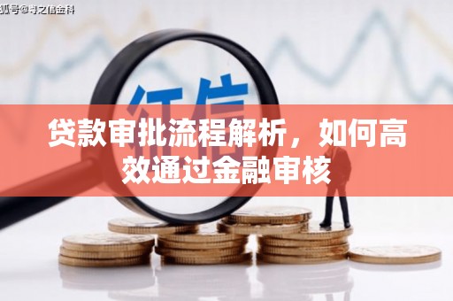 叶城贷款审批流程解析，如何高效通过金融审核