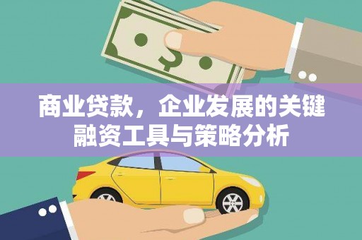 叶城商业贷款，企业发展的关键融资工具与策略分析