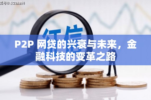 叶城P2P 网贷的兴衰与未来，金融科技的变革之路