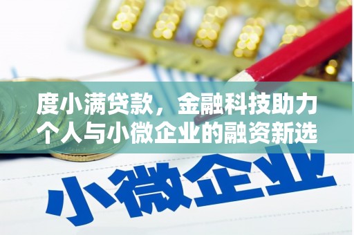 叶城度小满贷款，金融科技助力个人与小微企业的融资新选择