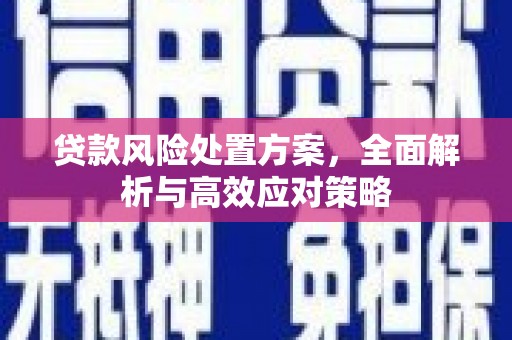 叶城贷款风险处置方案，全面解析与高效应对策略