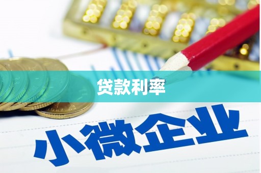 叶城贷款利率