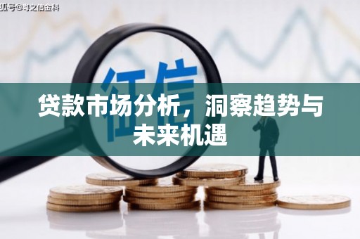 叶城贷款市场分析，洞察趋势与未来机遇