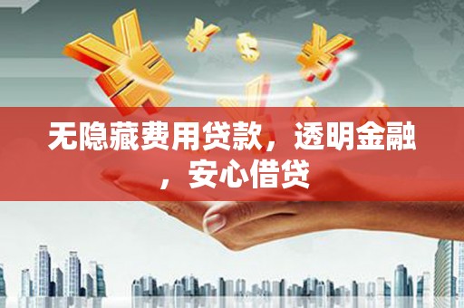 叶城无隐藏费用贷款，透明金融，安心借贷