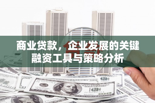叶城商业贷款，企业发展的关键融资工具与策略分析