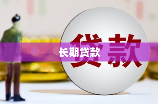 叶城长期贷款
