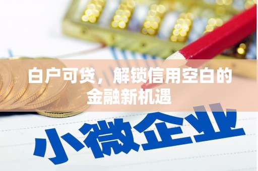 叶城白户可贷，解锁信用空白的金融新机遇