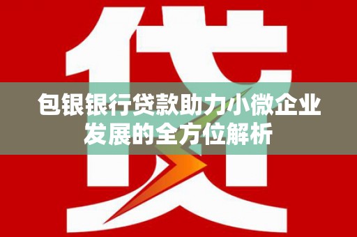 叶城包银银行贷款助力小微企业发展的全方位解析