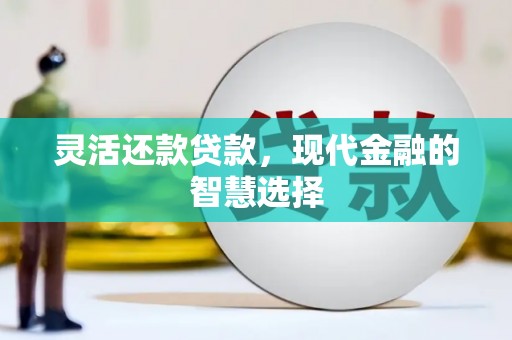叶城灵活还款贷款，现代金融的智慧选择