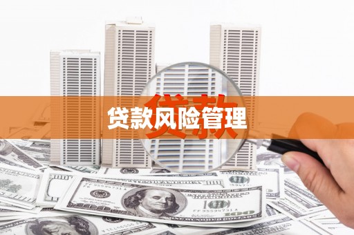 叶城贷款风险管理