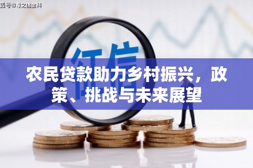 叶城农民贷款助力乡村振兴，政策、挑战与未来展望