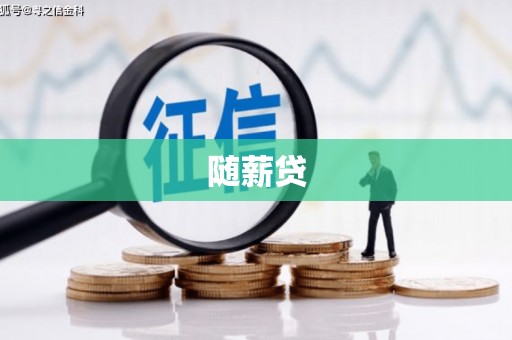 叶城随薪贷