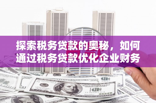 叶城探索税务贷款的奥秘，如何通过税务贷款优化企业财务