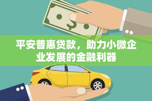 叶城平安普惠贷款，助力小微企业发展的金融利器