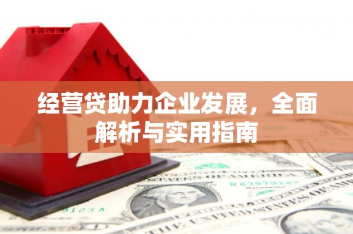 叶城经营贷助力企业发展，全面解析与实用指南