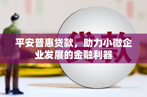 叶城平安普惠贷款，助力小微企业发展的金融利器
