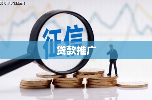 叶城贷款推广