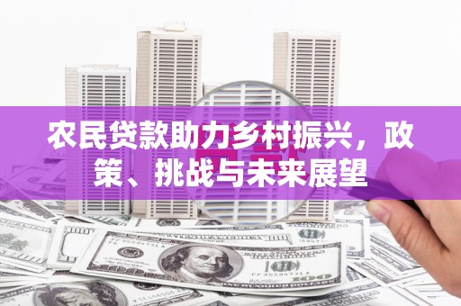 叶城农民贷款助力乡村振兴，政策、挑战与未来展望