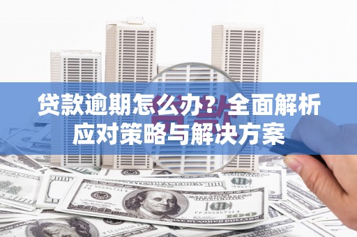 叶城贷款逾期怎么办？全面解析应对策略与解决方案