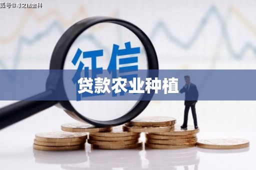 叶城贷款农业种植