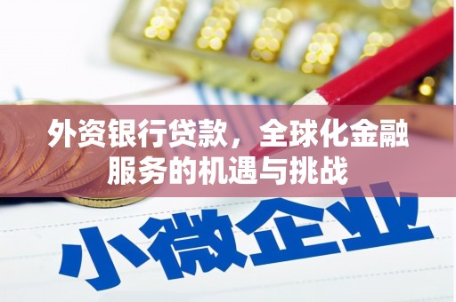 叶城外资银行贷款，全球化金融服务的机遇与挑战