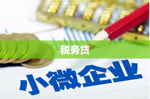 叶城税务贷