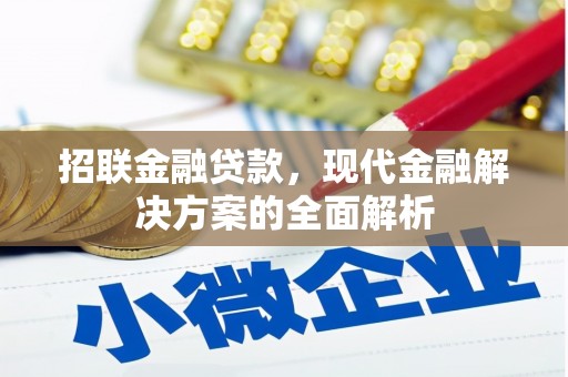 叶城招联金融贷款，现代金融解决方案的全面解析