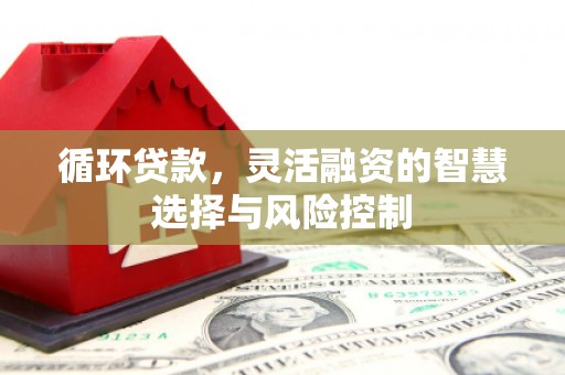 叶城循环贷款，灵活融资的智慧选择与风险控制