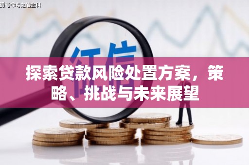 叶城探索贷款风险处置方案，策略、挑战与未来展望