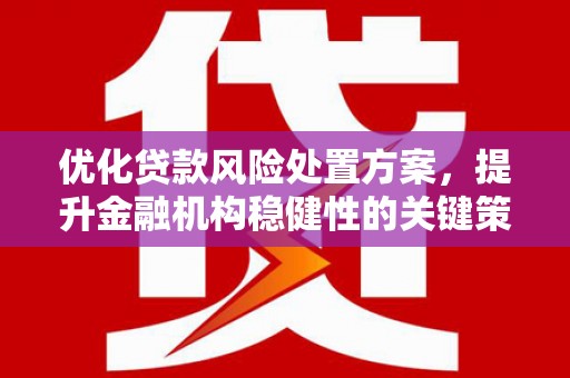 叶城优化贷款风险处置方案，提升金融机构稳健性的关键策略