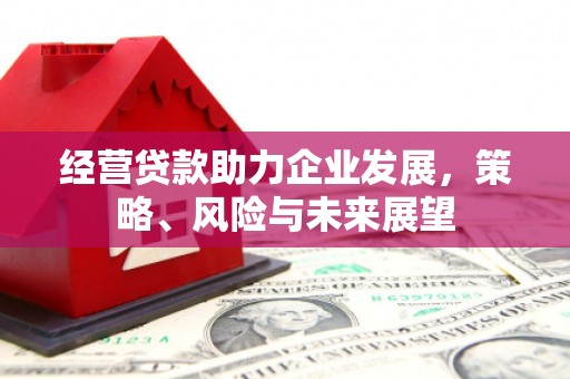 叶城经营贷款助力企业发展，策略、风险与未来展望