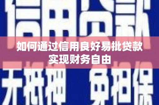 叶城如何通过信用良好易批贷款实现财务自由