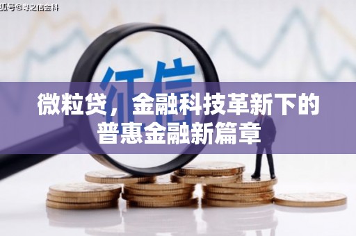 叶城微粒贷，金融科技革新下的普惠金融新篇章