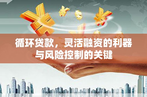 叶城循环贷款，灵活融资的利器与风险控制的关键