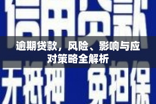 叶城逾期贷款，风险、影响与应对策略全解析
