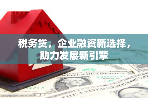 叶城税务贷，企业融资新选择，助力发展新引擎