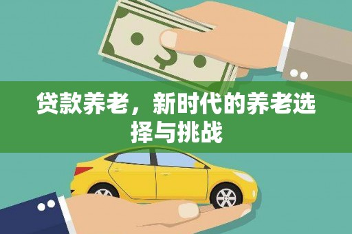 叶城贷款养老，新时代的养老选择与挑战