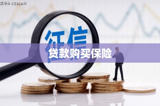 叶城贷款购买保险