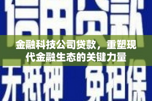 叶城金融科技公司贷款，重塑现代金融生态的关键力量