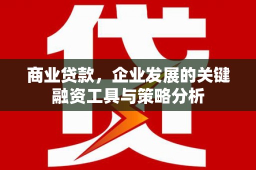 叶城商业贷款，企业发展的关键融资工具与策略分析