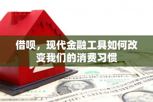 叶城借呗，现代金融工具如何改变我们的消费习惯