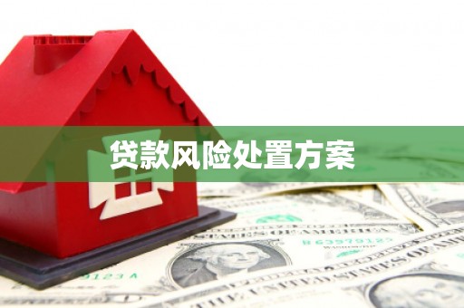 叶城贷款风险处置方案