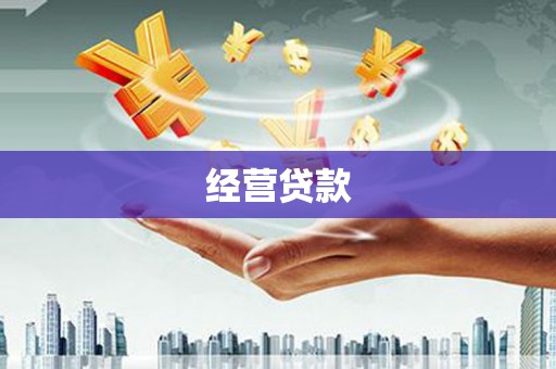 叶城经营贷款