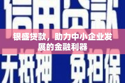 叶城银盛贷款，助力中小企业发展的金融利器