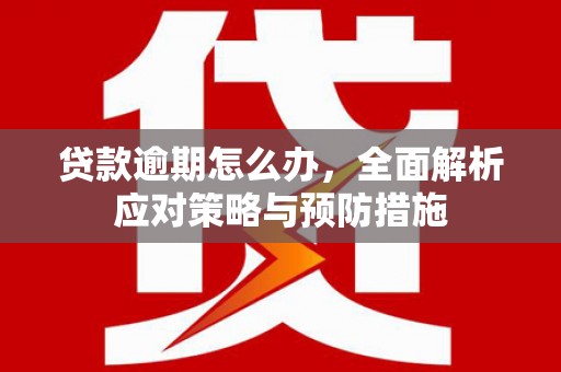叶城贷款逾期怎么办，全面解析应对策略与预防措施